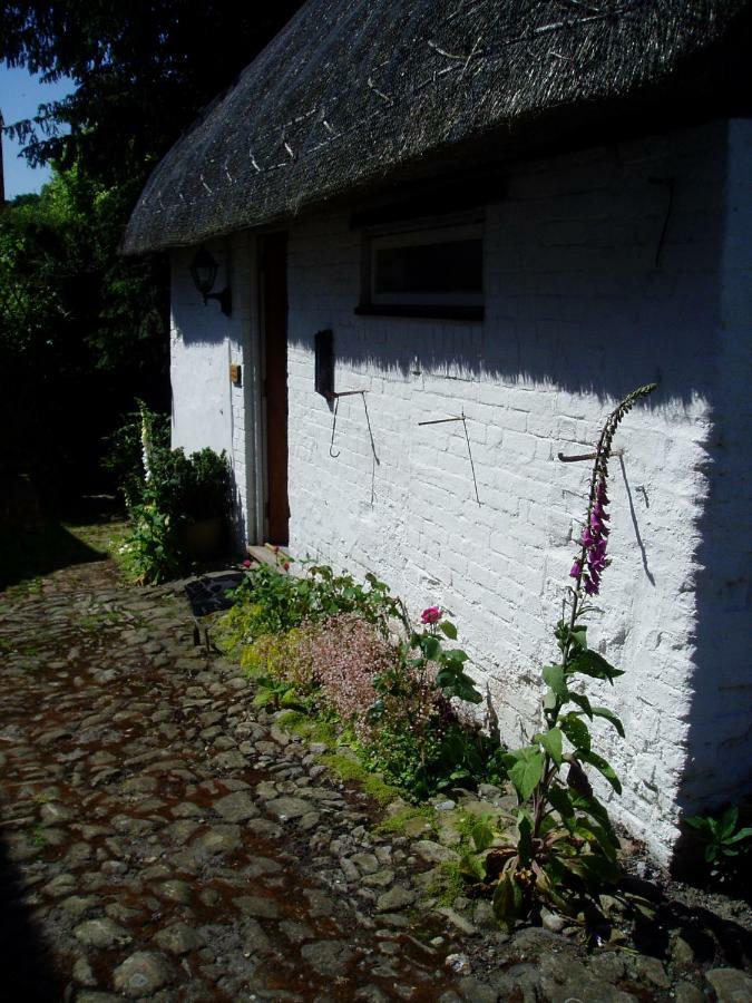 Stable Cottage Девизес Екстериор снимка